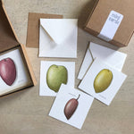 Mini Cards Set / Olives - Knife Shift