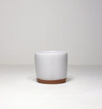 Salt Cellars