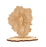 The Mt. Adams Coaster Set - Knife Shift