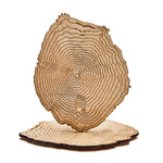 The Mt. Fuji Coaster Set - Knife Shift