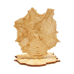 The Mt. Hood Coaster Set - Knife Shift