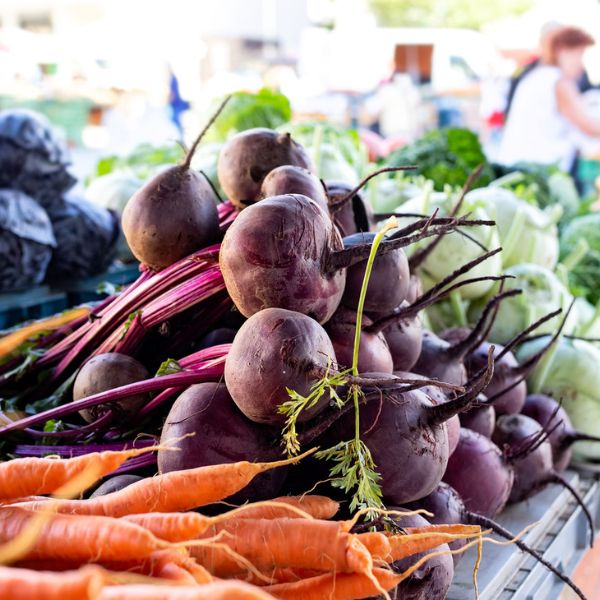 Sunlit Acres Farm