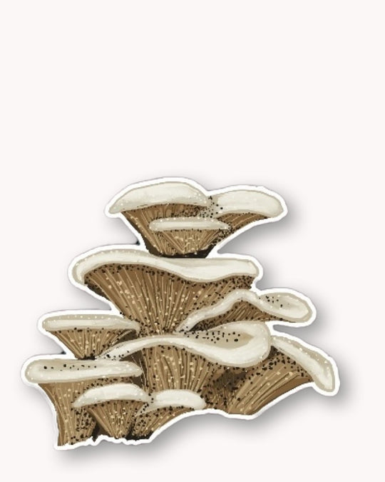 Oyster Mushroom Sticker - Knife Shift