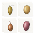 Mini Cards Set / Olives - Knife Shift
