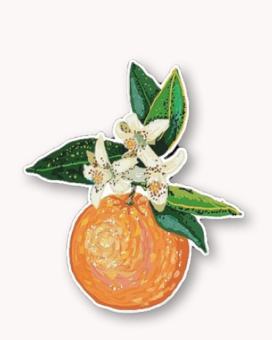 Orange Sticker - Knife Shift