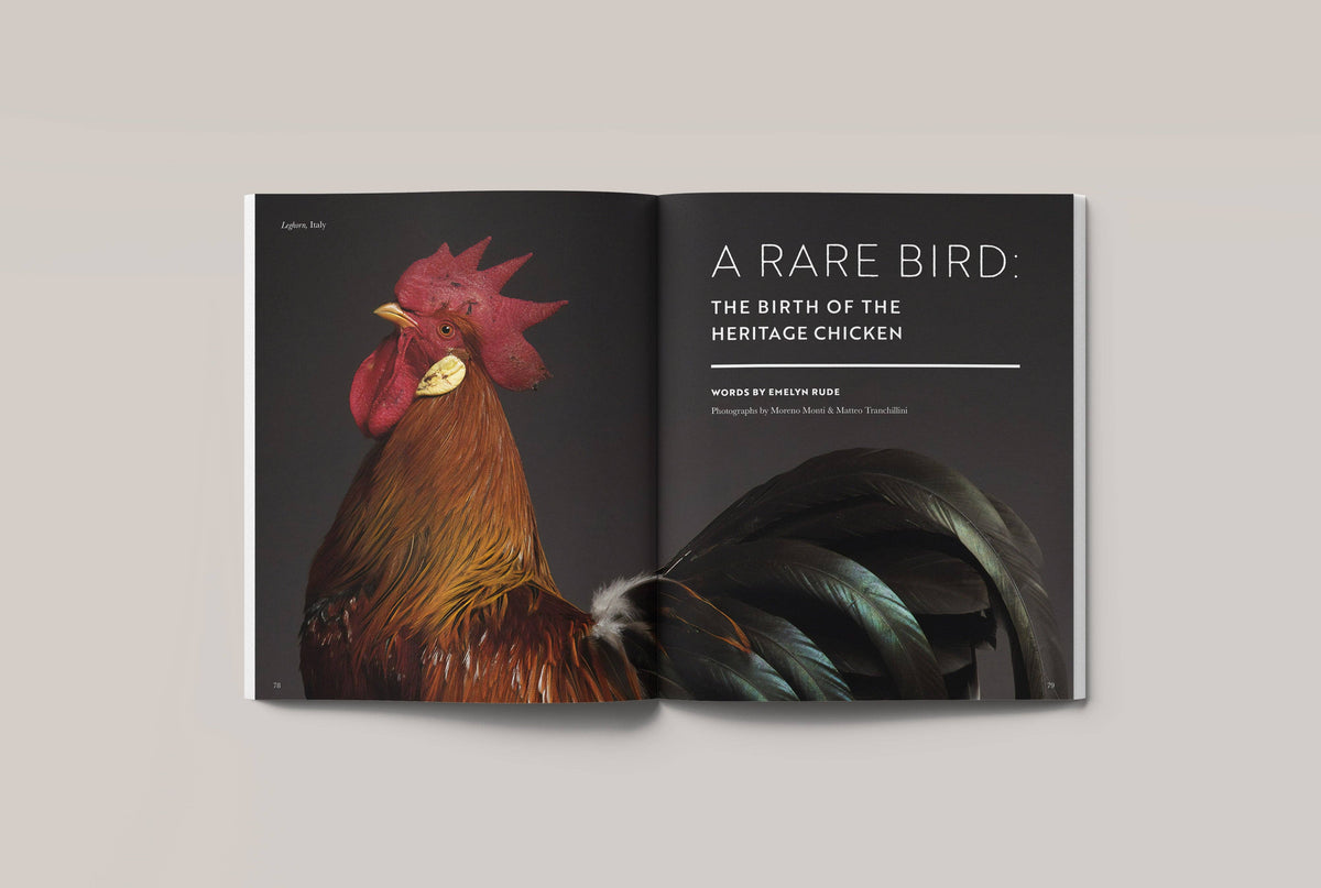 No. 3: Rare - Knife Shift
