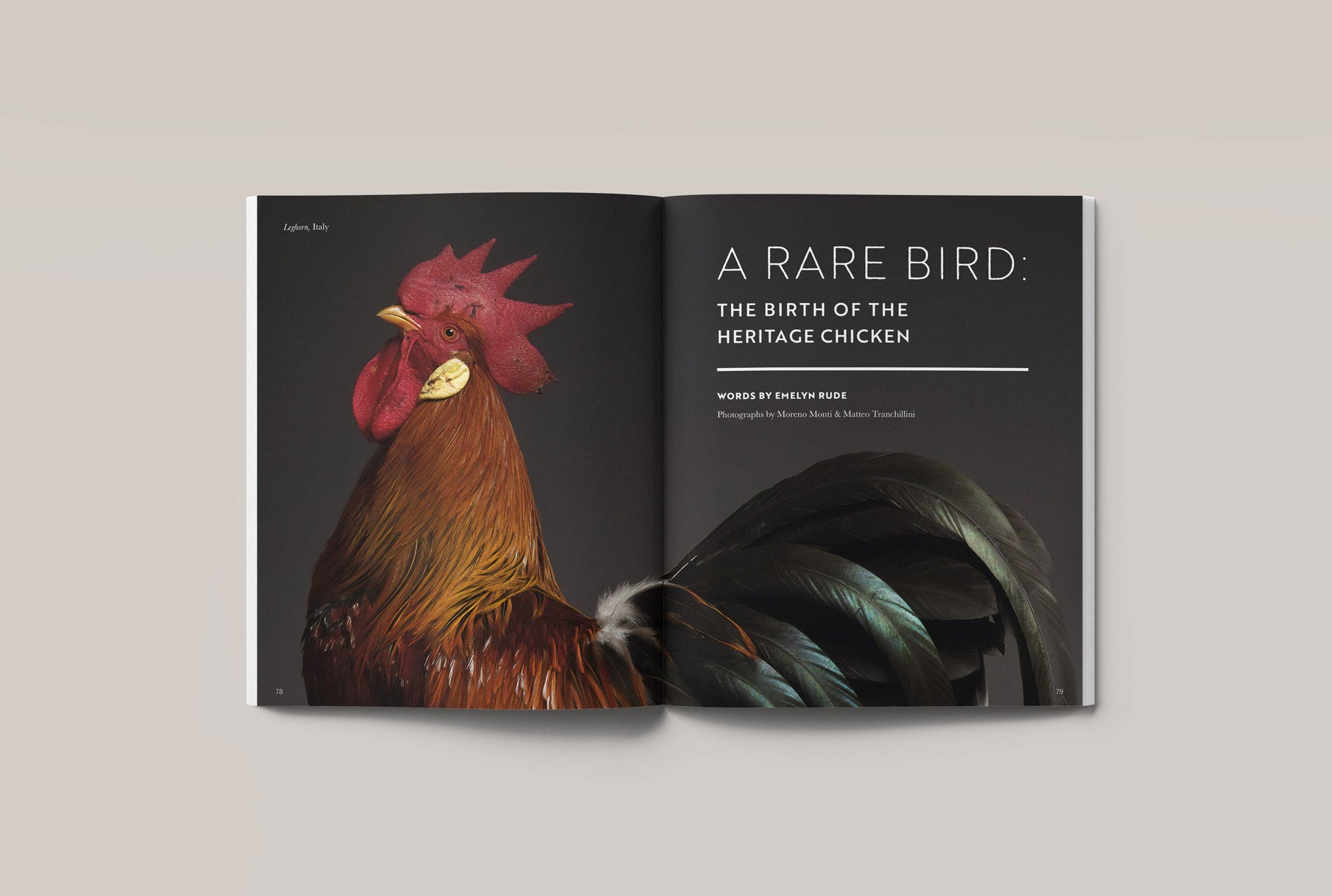 No. 3: Rare - Knife Shift