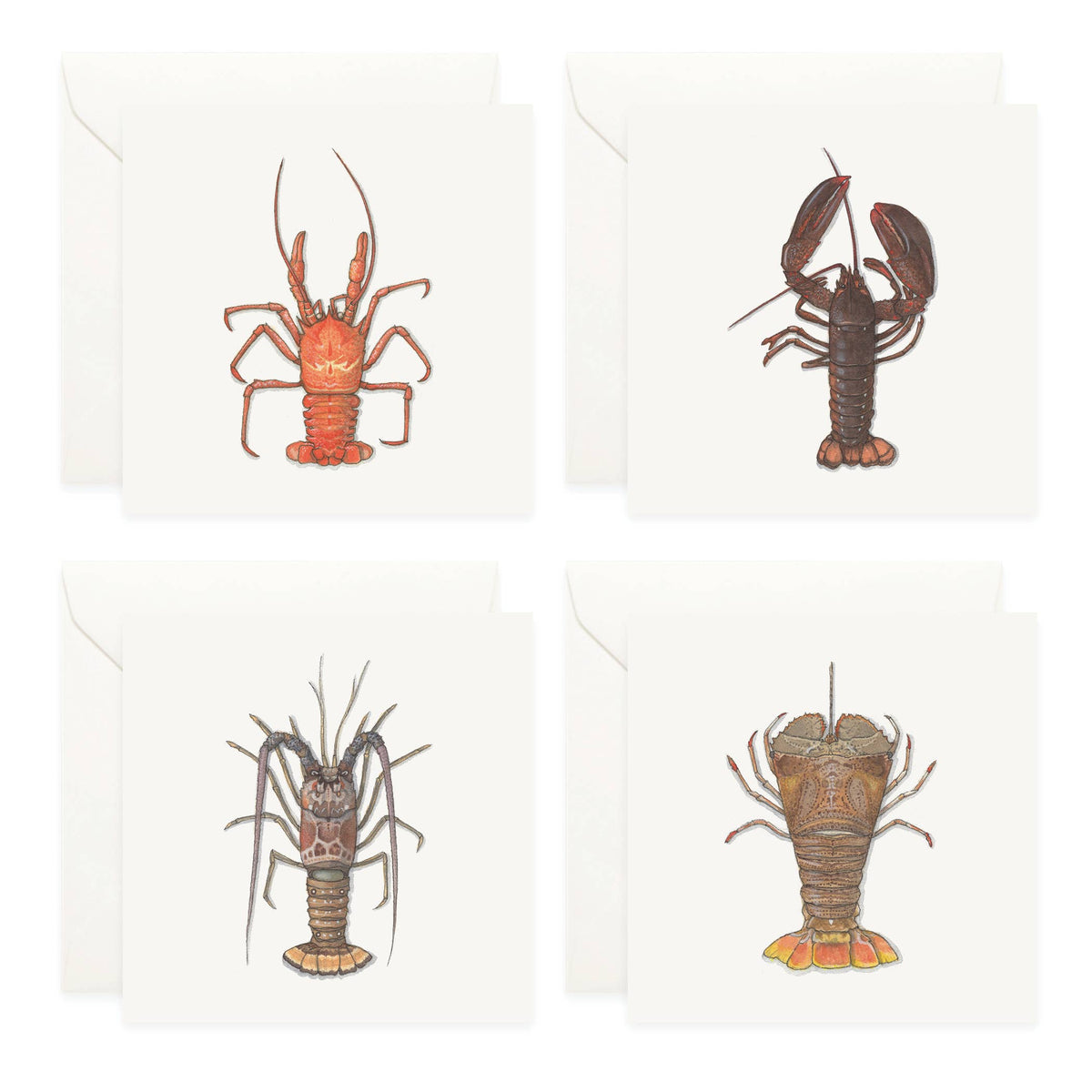 Mini Cards Set / Lobsters - Knife Shift