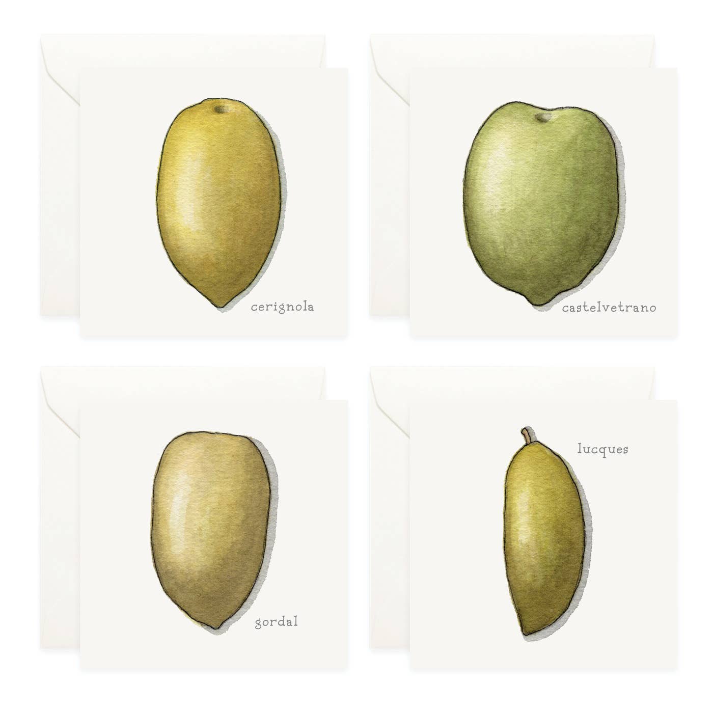 Mini Cards Set / Olives - Knife Shift