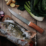 Roselli RW255 The Big Fish Knife - Knife Shift
