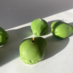 Chayote Squash Candle - Knife Shift