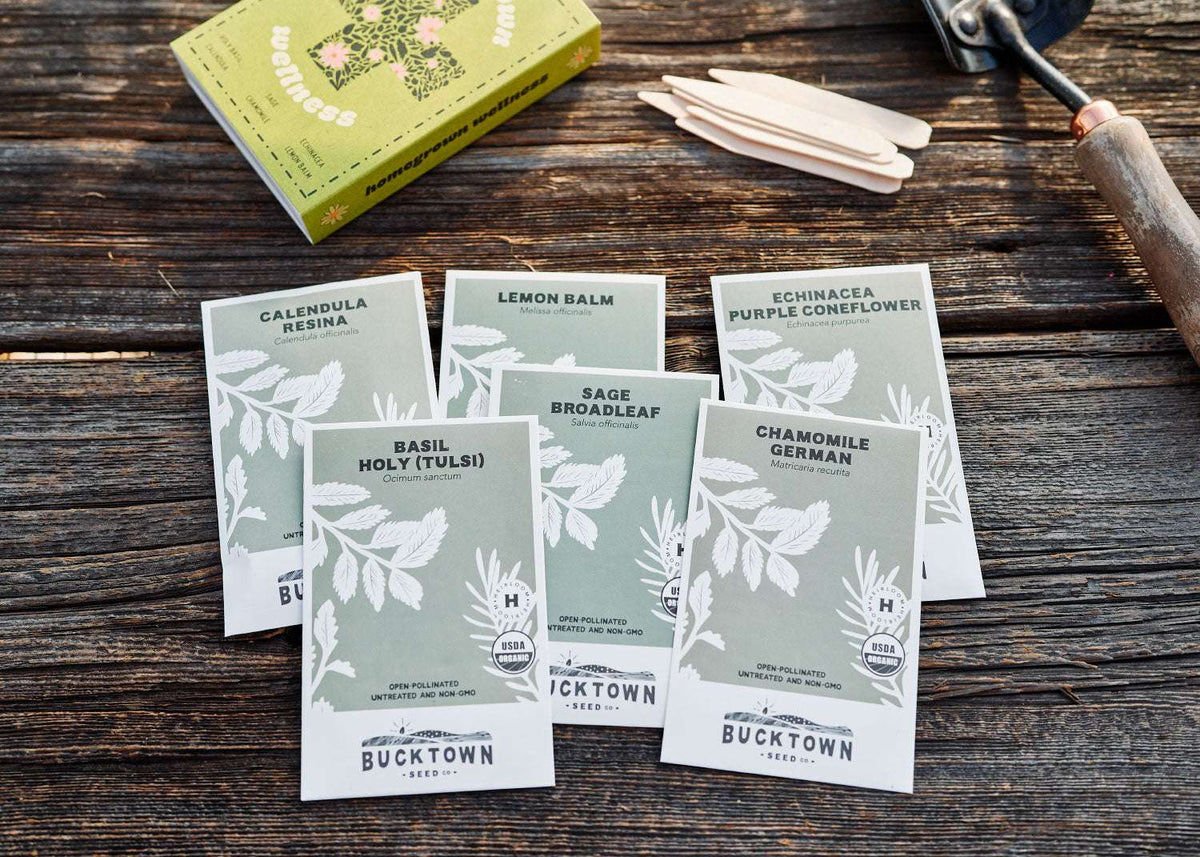 Homegrown Wellness - Seed Collection - Knife Shift