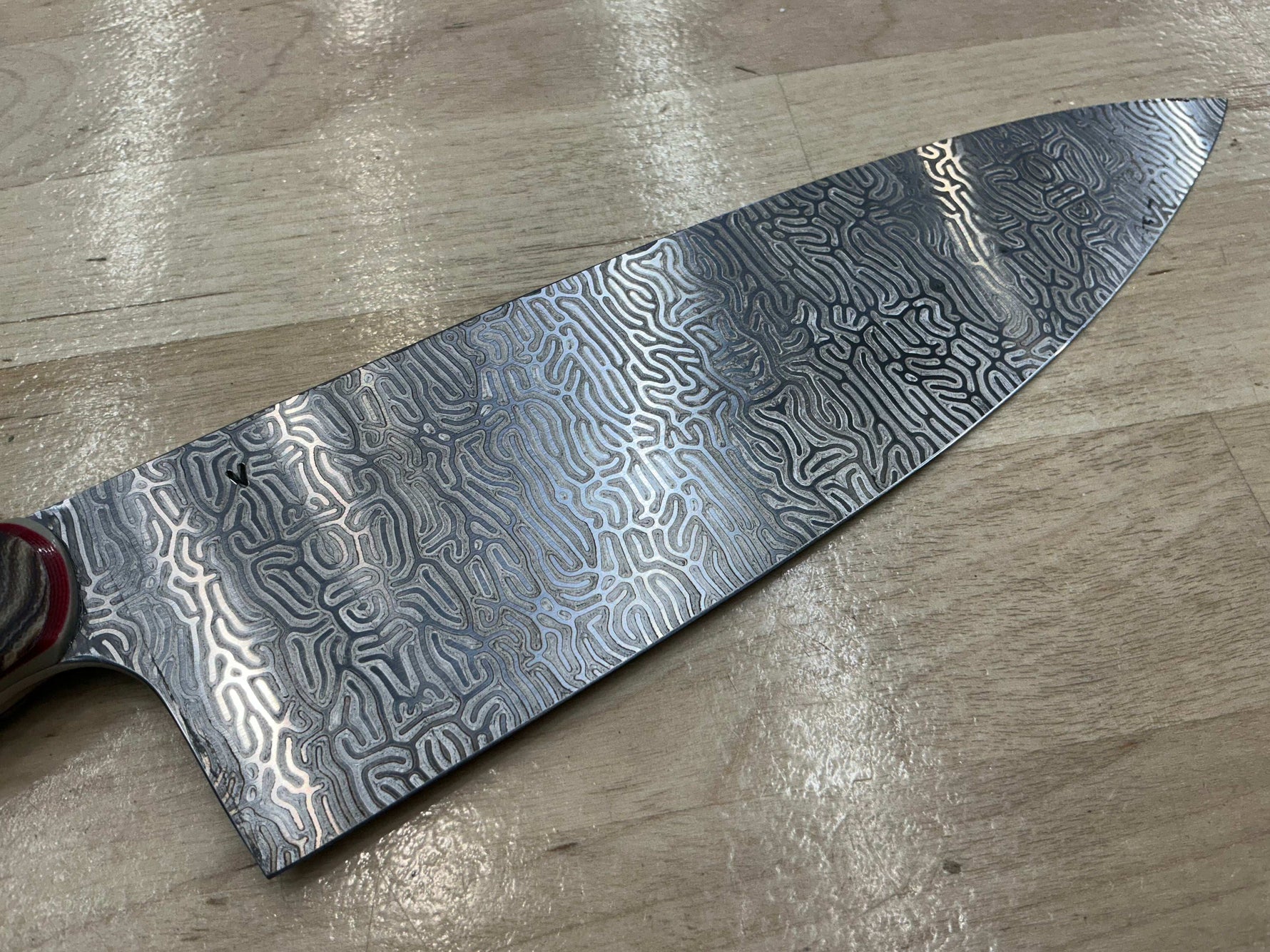 Brain Coral Euro Chef Knife in CPM154 - Micarta & G-10 - Knife Shift