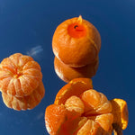 Mandarin Candle - Knife Shift