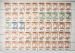 Emergency Seed Bank - Large - Organic Heirloom - Knife Shift
