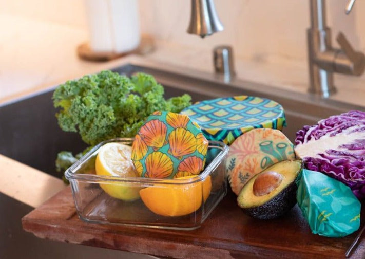 Beeswax Food Wrap - Sunrise Shell Print - Knife Shift