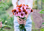 Homegrown Wellness - Seed Collection - Knife Shift