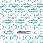 Sardine Paper Clips - Knife Shift