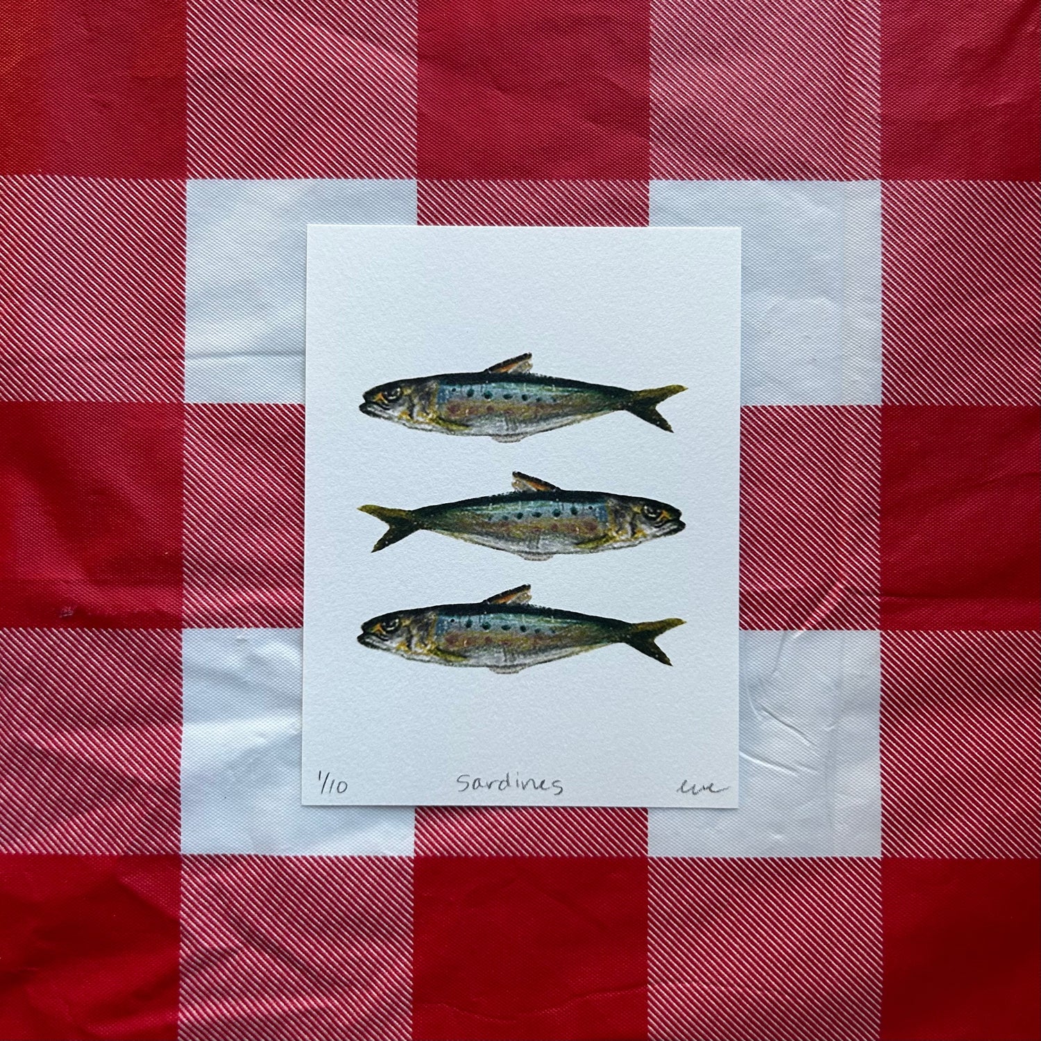 Sardines Print - Knife Shift