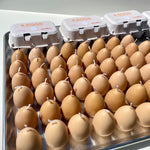 Egg Candles - 6 Pack Box - Knife Shift