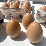 Egg Candles - 6 Pack Box - Knife Shift