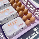 Egg Candles - 6 Pack Box - Knife Shift