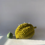 Durian Candle - Knife Shift
