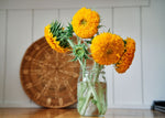 Freshly Cut Blooms - Seed Collection - Knife Shift