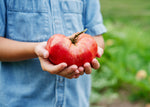 The Explorer : Rooted in America - Seed Collection - Knife Shift
