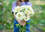 Freshly Cut Blooms - Seed Collection - Knife Shift