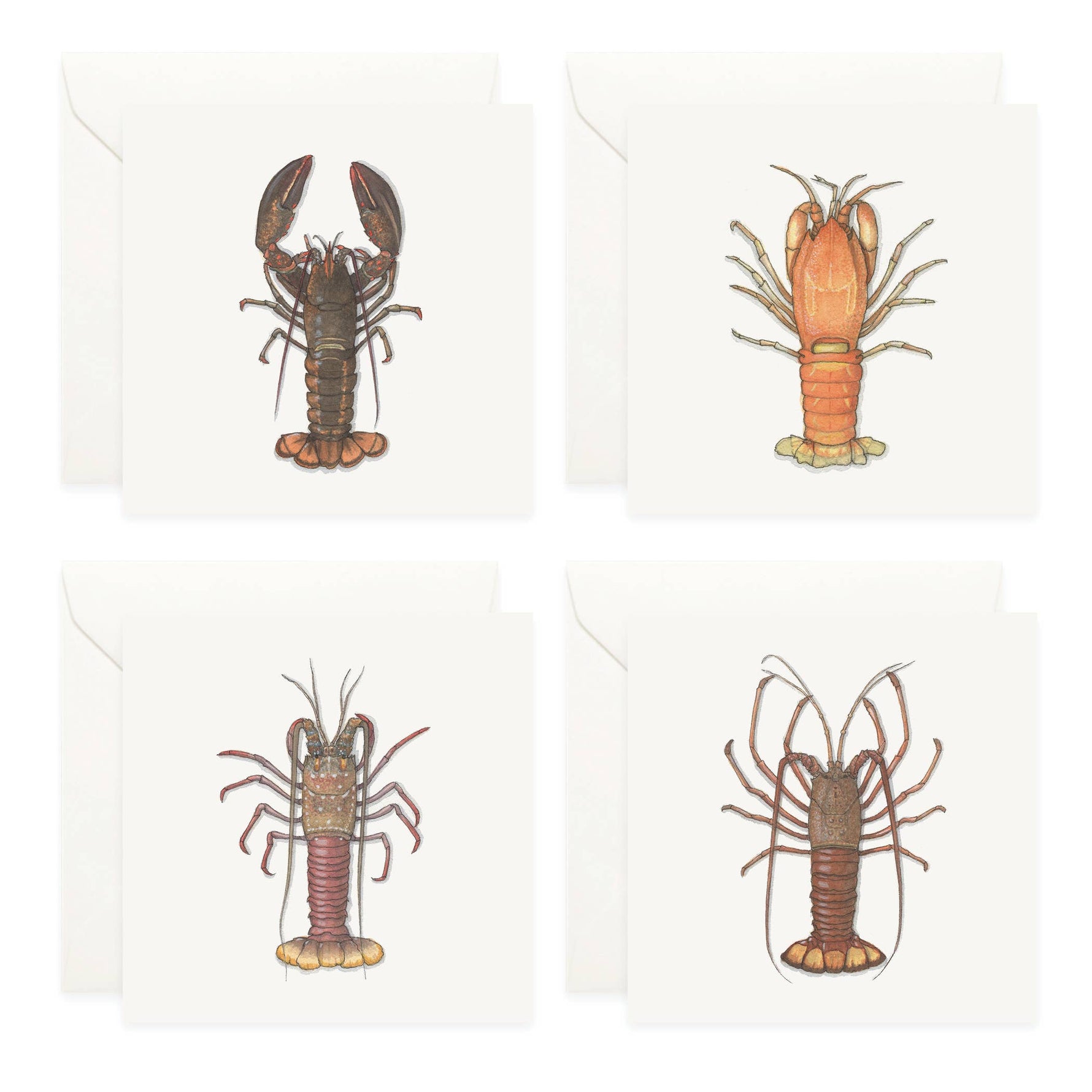 Mini Cards Set / Lobsters - Knife Shift