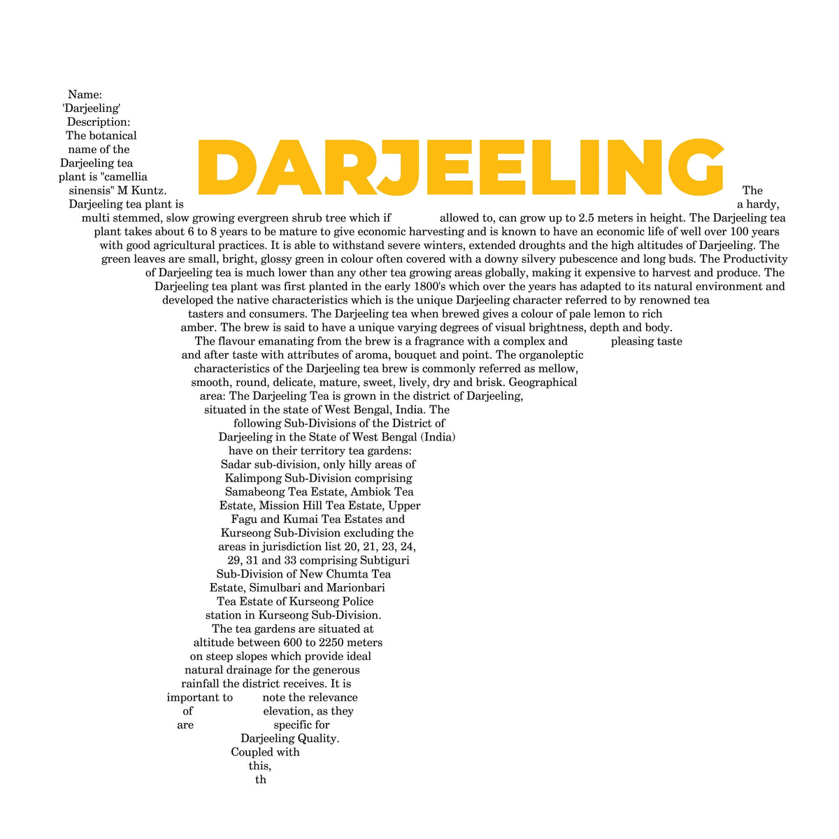 Darjeeling Tea Map - Pocket T-shirt-T-Shirt-gift ideas for foodies-Knife Shift