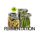 Fermentation Technique - Hoodie-Hoodie-gift ideas for foodies-Knife Shift