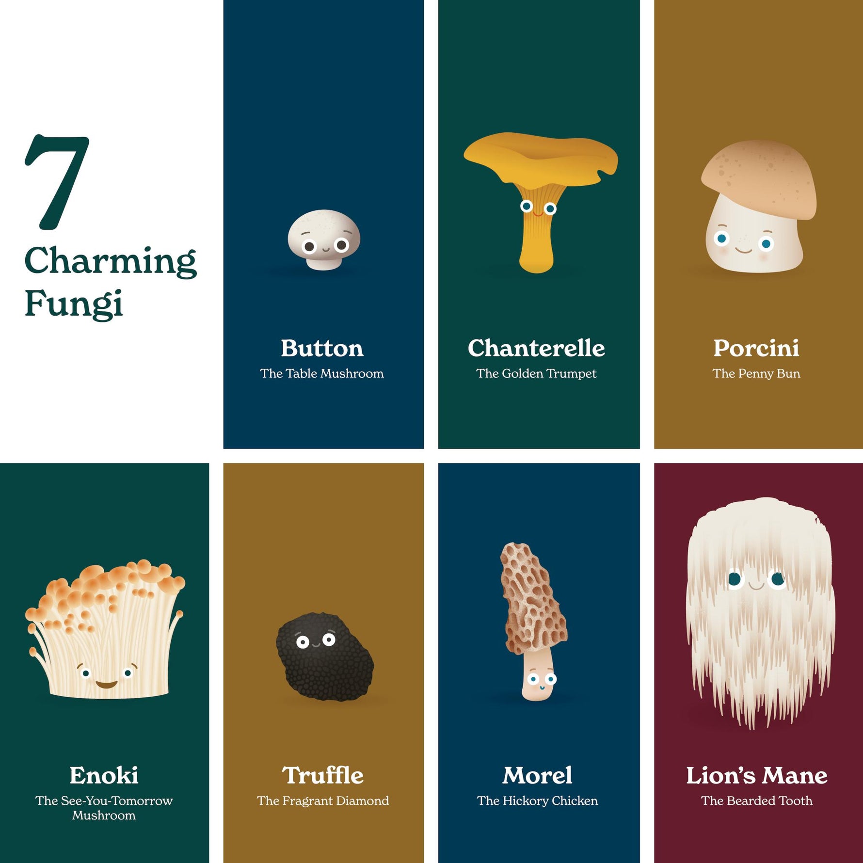 Little Book of Fungi - Knife Shift