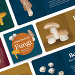 Little Book of Fungi - Knife Shift
