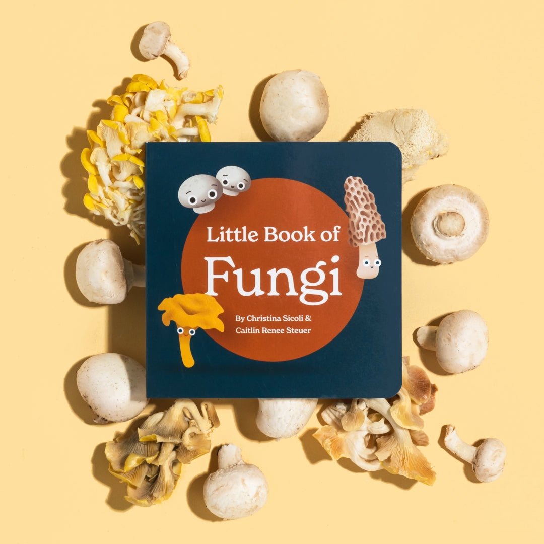 Little Book of Fungi - Knife Shift