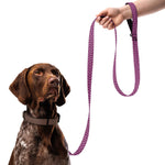 Patterned Pet Leash - Knife Shift